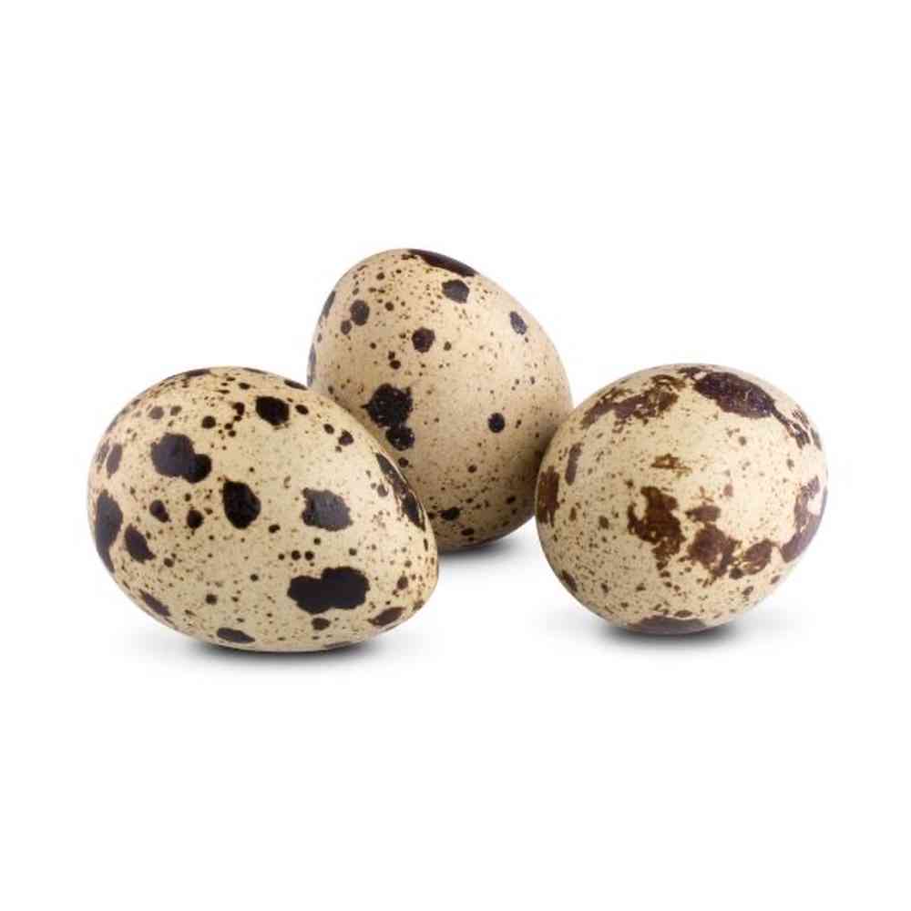 Quail Egg image